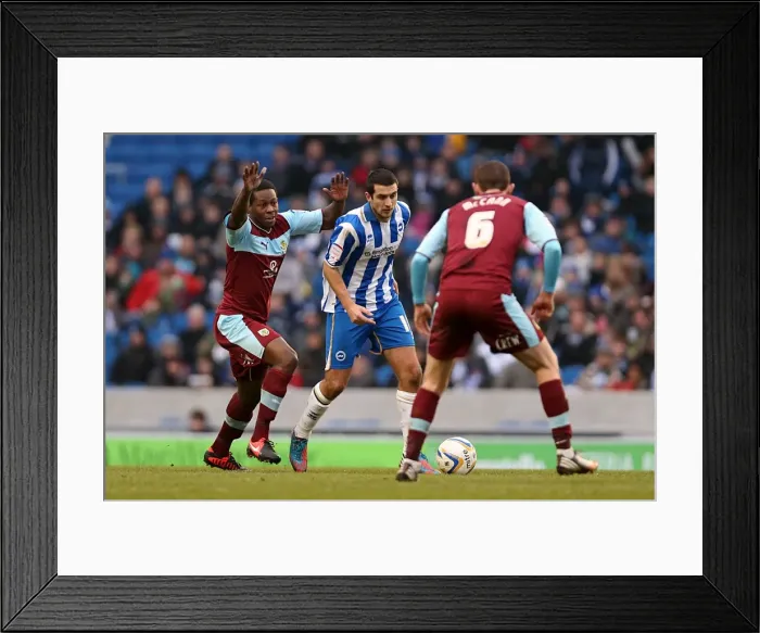 Framed Print : Gary Dicker in action during Brighton & Hove Albion v Burnley, Npower championship, Amex Stadium, Brighton Framed Print : Gary Dicker in action during Brighton & Hove Albion v Burnley, Npower championship, Amex Stadium, Brighton