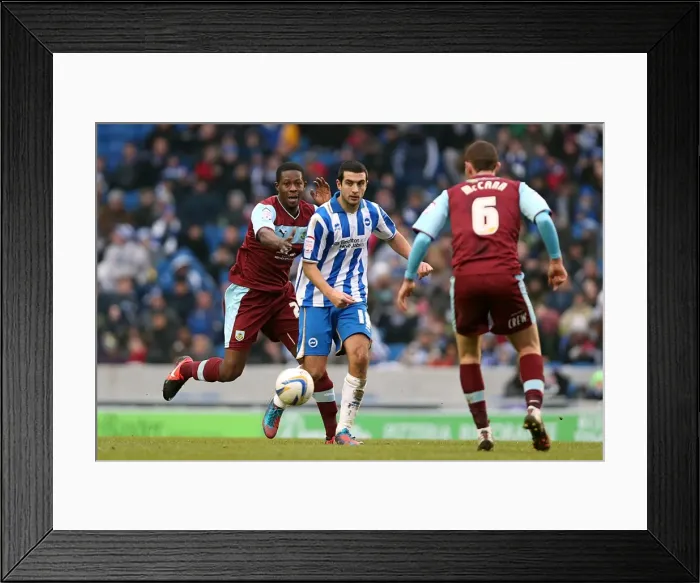 Framed Print : Gary Dicker in Action: Brighton & Hove Albion vs Burnley, Npower Championship, Amex Stadium (February 23, 2013) Framed Print : Gary Dicker in Action: Brighton & Hove Albion vs Burnley, Npower Championship, Amex Stadium (February 23, 2013)