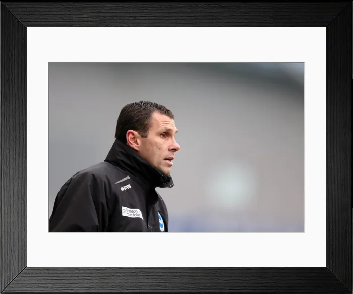 Framed Print : Gus Poyet: Brighton & Hove Albion Manager in Npower Championship Clash Against Burnley at Amex Stadium (February 23, 2013) Framed Print : Gus Poyet: Brighton & Hove Albion Manager in Npower Championship Clash Against Burnley at Amex Stadium (February 23, 2013)