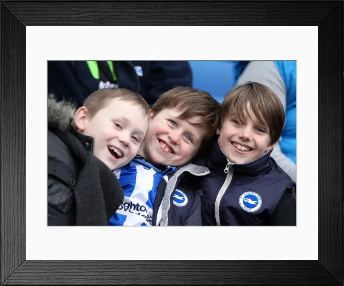 Framed Print : Brighton and Hove Albion: Electric Atmosphere - Crowd Shots from The Amex Stadium (2012-2013) Framed Print : Brighton and Hove Albion: Electric Atmosphere - Crowd Shots from The Amex Stadium (2012-2013)