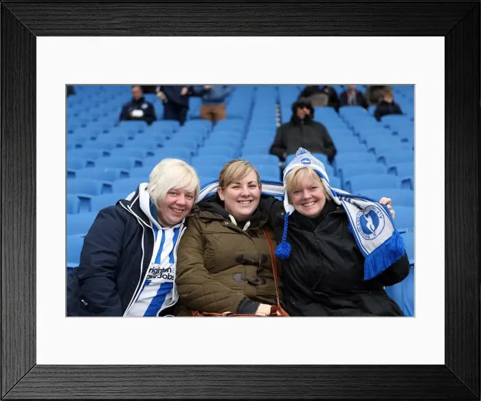 Framed Print : Brighton & Hove Albion: Electric Atmosphere - The Amex Stadium Crowd Shots (2012-2013) Framed Print : Brighton & Hove Albion: Electric Atmosphere - The Amex Stadium Crowd Shots (2012-2013)