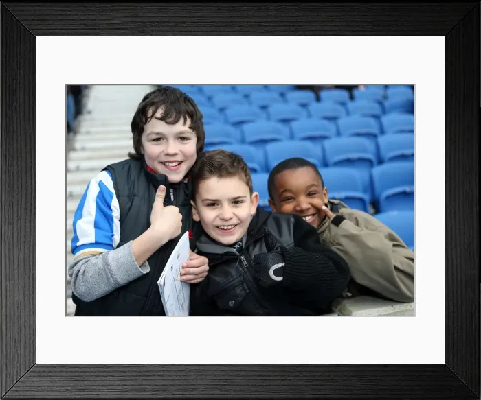 Framed Print : Brighton and Hove Albion: The Electric Amex Stadium Crowd (2012-2013) Framed Print : Brighton and Hove Albion: The Electric Amex Stadium Crowd (2012-2013)