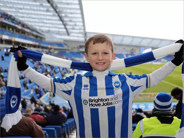 Brighton & Hove Albion: Electric Atmosphere - Unforgettable Crowd Moments at The Amex (2012-2013)
