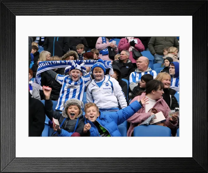 Framed Print : Brighton & Hove Albion vs. Huddersfield Town (02-03-2013) - A Glimpse into the 2012-13 Home Season Framed Print : Brighton & Hove Albion vs. Huddersfield Town (02-03-2013) - A Glimpse into the 2012-13 Home Season