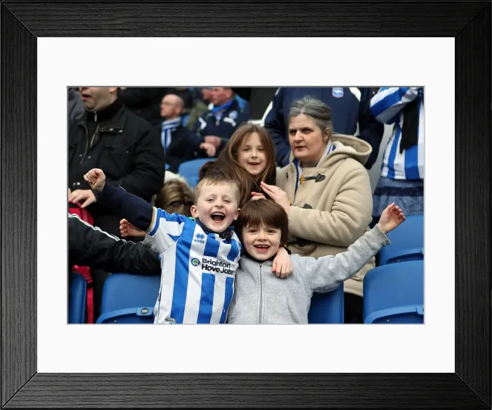 Framed Print : Seaside Passion: Intense Crowd Moments at Brighton & Hove Albion's Amex Stadium (2012-2013) Framed Print : Seaside Passion: Intense Crowd Moments at Brighton & Hove Albion's Amex Stadium (2012-2013)