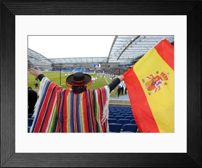 Framed Print : Brighton & Hove Albion vs. Huddersfield Town (02-03-2013): A Glimpse into the 2012-13 Home Season Framed Print : Brighton & Hove Albion vs. Huddersfield Town (02-03-2013): A Glimpse into the 2012-13 Home Season