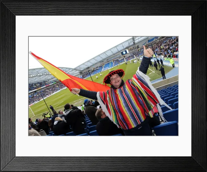 Framed Print : Brighton & Hove Albion: Electric Atmosphere - Unforgettable Crowd Moments at The Amex (2012-2013) Framed Print : Brighton & Hove Albion: Electric Atmosphere - Unforgettable Crowd Moments at The Amex (2012-2013)