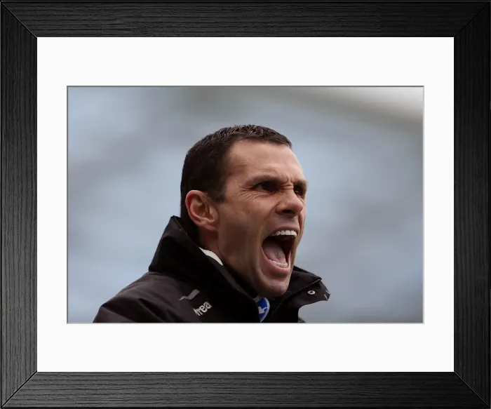 Framed Print : Brighton & Hove Albion vs. Huddersfield Town (02-03-2013): A Glimpse into the 2012-13 Home Season Framed Print : Brighton & Hove Albion vs. Huddersfield Town (02-03-2013): A Glimpse into the 2012-13 Home Season