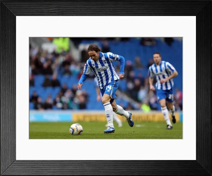 Framed Print : Brighton & Hove Albion vs. Huddersfield Town (02-03-2013): A Glimpse into the 2012-13 Home Season Framed Print : Brighton & Hove Albion vs. Huddersfield Town (02-03-2013): A Glimpse into the 2012-13 Home Season