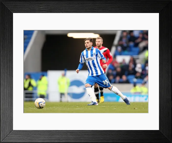 Framed Print : Brighton & Hove Albion vs. Huddersfield Town (02-03-2013): A Look Back at the 2012-13 Home Season - Huddersfield Town Game Framed Print : Brighton & Hove Albion vs. Huddersfield Town (02-03-2013): A Look Back at the 2012-13 Home Season - Huddersfield Town Game