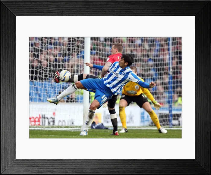 Framed Print : Brighton & Hove Albion vs. Huddersfield Town (02-03-2013): A Glimpse into the 2012-13 Home Season Framed Print : Brighton & Hove Albion vs. Huddersfield Town (02-03-2013): A Glimpse into the 2012-13 Home Season