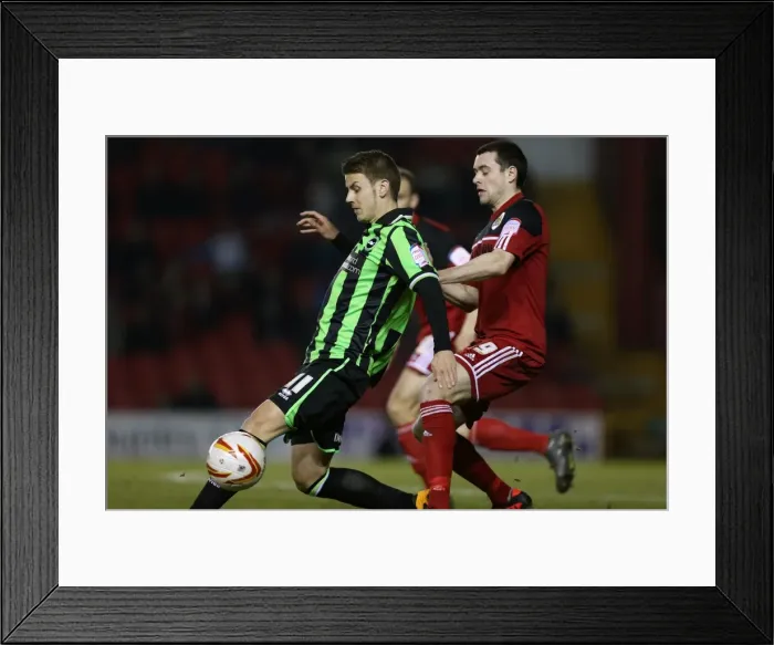 Framed Print : Brighton & Hove Albion vs. Bristol City (Away): 05-03-2013 - 2012-13 Season Highlights Framed Print : Brighton & Hove Albion vs. Bristol City (Away): 05-03-2013 - 2012-13 Season Highlights