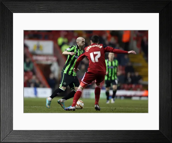 Framed Print : Brighton & Hove Albion vs. Bristol City: 2013 Away Game Highlights (5-3-2013) - Season 2012-13: Away Game at Bristol City (5-3-2013) Framed Print : Brighton & Hove Albion vs. Bristol City: 2013 Away Game Highlights (5-3-2013) - Season 2012-13: Away Game at Bristol City (5-3-2013)