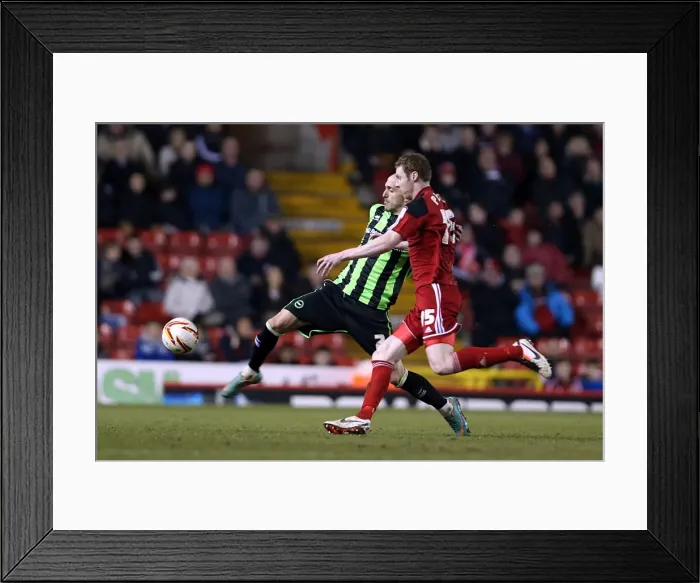 Framed Print : Brighton & Hove Albion vs. Bristol City: 2013 Away Game Framed Print : Brighton & Hove Albion vs. Bristol City: 2013 Away Game