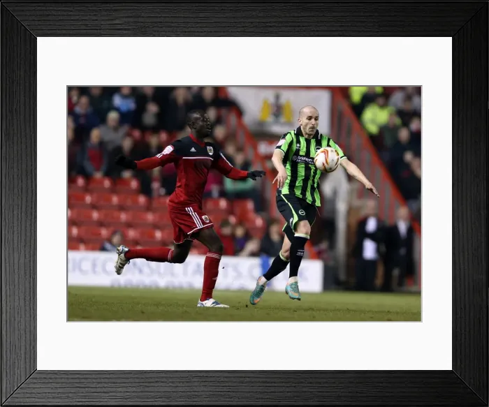 Framed Print : Brighton & Hove Albion vs. Bristol City (Away): 2012-13 Season Highlights (05-03-2013) Framed Print : Brighton & Hove Albion vs. Bristol City (Away): 2012-13 Season Highlights (05-03-2013)