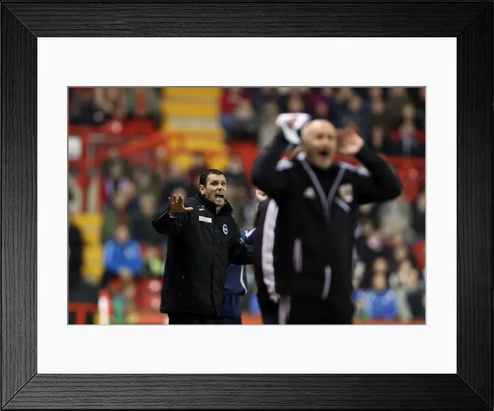 Framed Print : Brighton & Hove Albion 2012-13 Away Game Highlights: Bristol City (05-03-2013) Framed Print : Brighton & Hove Albion 2012-13 Away Game Highlights: Bristol City (05-03-2013)