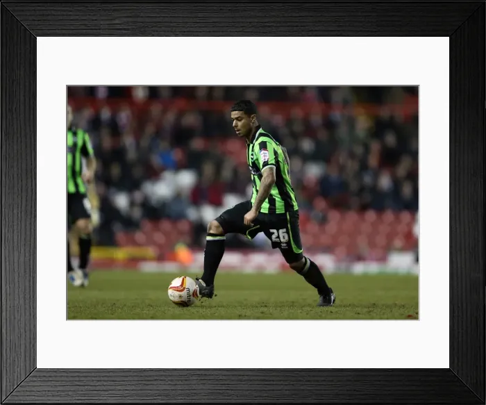 Framed Print : Brighton & Hove Albion vs. Bristol City: 2013 Away Game Highlights - Season 2012-13 Framed Print : Brighton & Hove Albion vs. Bristol City: 2013 Away Game Highlights - Season 2012-13