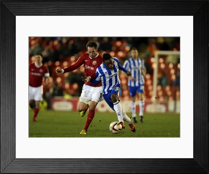 Framed Print : Kazenga LuaLua: In Action for Brighton & Hove Albion against Barnsley, March 12, 2013 Framed Print : Kazenga LuaLua: In Action for Brighton & Hove Albion against Barnsley, March 12, 2013