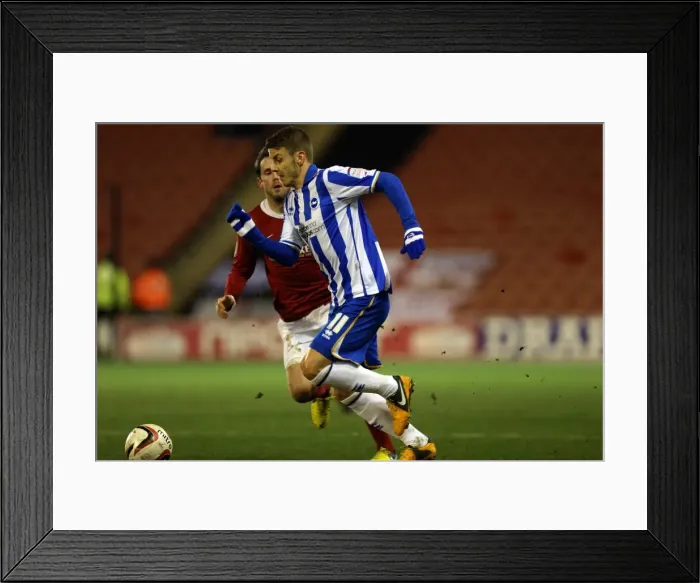 Framed Print : Brighton & Hove Albion vs Barnsley: Away Game - March 12, 2013 Framed Print : Brighton & Hove Albion vs Barnsley: Away Game - March 12, 2013