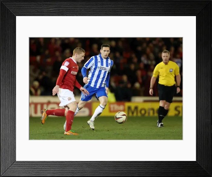 Framed Print : Brighton & Hove Albion vs. Barnsley (Away): 12-03-2013 Framed Print : Brighton & Hove Albion vs. Barnsley (Away): 12-03-2013