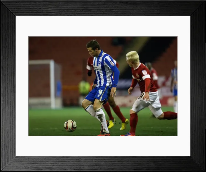 Framed Print : Brighton & Hove Albion vs Barnsley: Away Game - March 12, 2013 (Season 2012-13) Framed Print : Brighton & Hove Albion vs Barnsley: Away Game - March 12, 2013 (Season 2012-13)