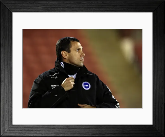 Framed Print : Brighton & Hove Albion vs Barnsley: Away Game - March 12, 2013 (Season 2012-13)