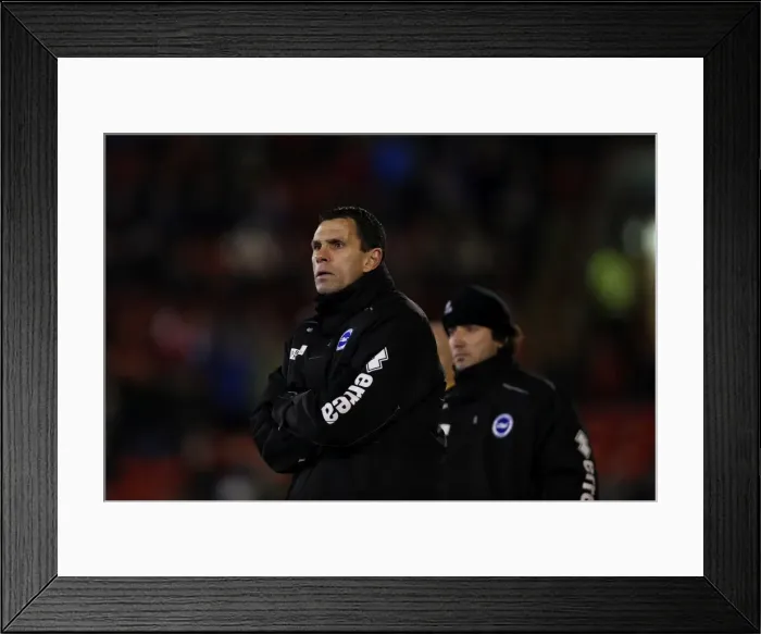 Framed Print : Brighton & Hove Albion vs Barnsley: Away Game - March 12, 2013 (Season 2012-13)