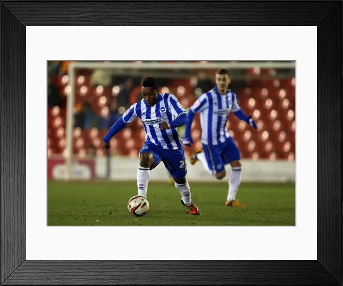 Framed Print : Brighton & Hove Albion vs Barnsley: Away Game - March 12, 2013 (Season 2012-13)