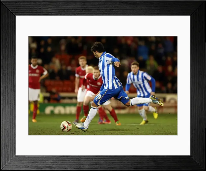 Framed Print : Brighton & Hove Albion vs Barnsley: Away Game - March 12, 2013 (Season 2012-13)