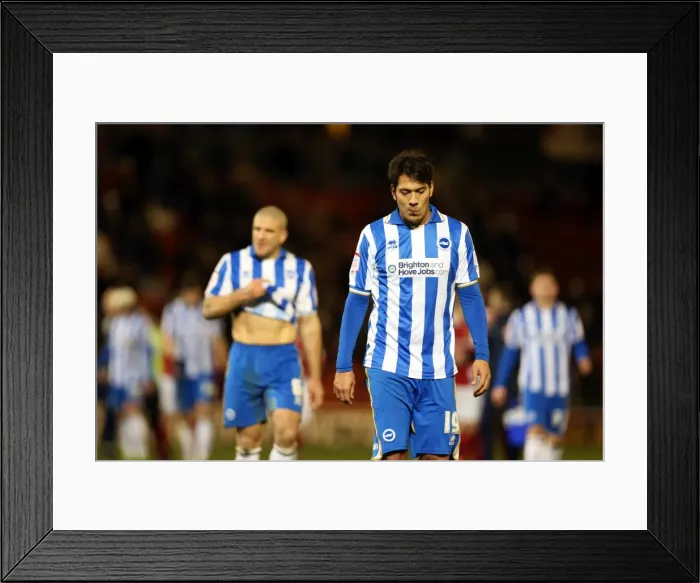 Framed Print : A Memorable Win: Brighton & Hove Albion vs Barnsley (Away) - 12-03-2013