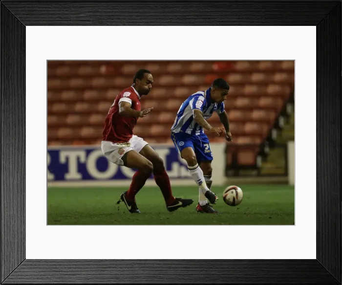 Framed Print : Brighton & Hove Albion vs Barnsley: Away Game - March 12, 2013 (Season 2012-13)