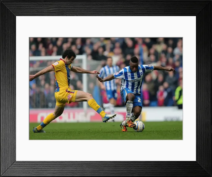 Framed Print : LuaLua in Action: Brighton & Hove Albion vs. Crystal Palace, March 17, 2013 Framed Print : LuaLua in Action: Brighton & Hove Albion vs. Crystal Palace, March 17, 2013