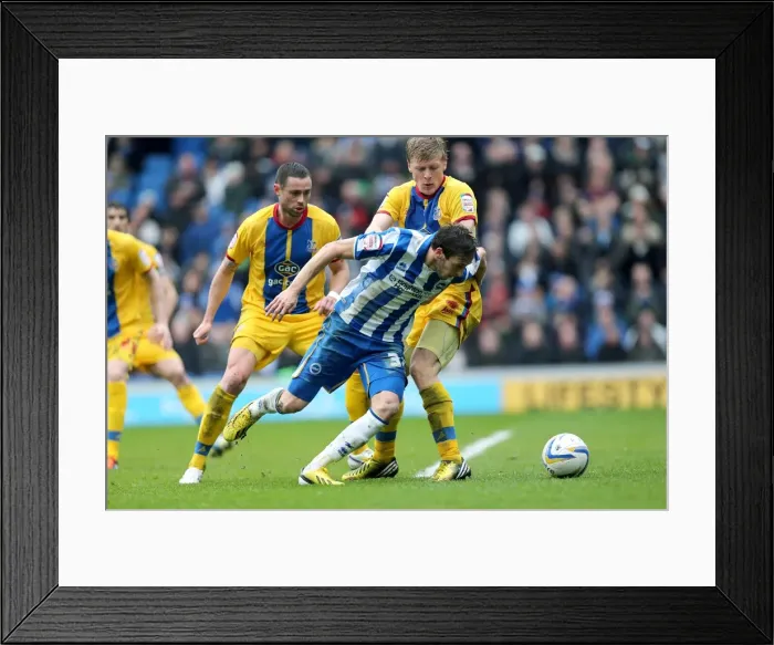 Framed Print : Thrilling Performance by Will Buckley: Brighton & Hove Albion vs. Crystal Palace, NPower Championship (March 17, 2013) Framed Print : Thrilling Performance by Will Buckley: Brighton & Hove Albion vs. Crystal Palace, NPower Championship (March 17, 2013)