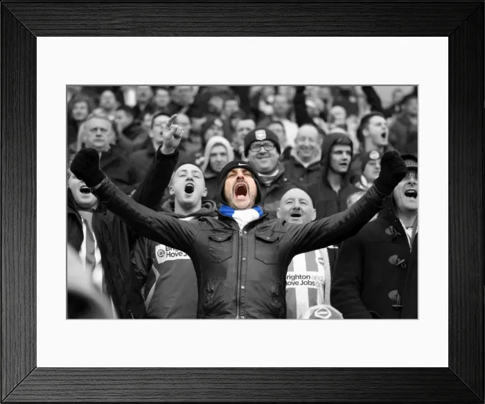 Framed Print : Brighton and Hove Albion: Electric Atmosphere - Unforgettable Crowd Moments at The Amex (2012-2013) Framed Print : Brighton and Hove Albion: Electric Atmosphere - Unforgettable Crowd Moments at The Amex (2012-2013)