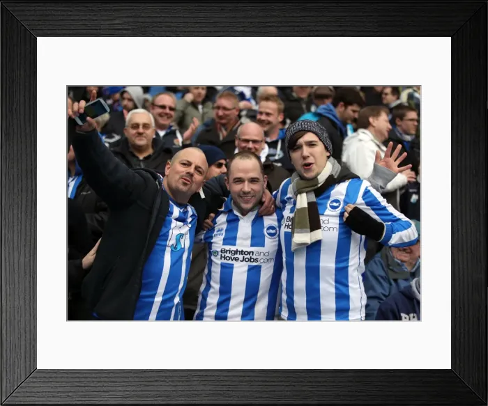 Framed Print : Brighton & Hove Albion: Electric Atmosphere - The Amex Stadium Crowd Shots (2012-2013)