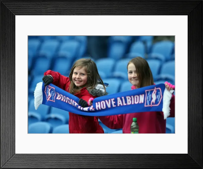 Framed Print : Brighton and Hove Albion: Electric Atmosphere - Crowd Shots from The Amex Stadium (2012-2013) Framed Print : Brighton and Hove Albion: Electric Atmosphere - Crowd Shots from The Amex Stadium (2012-2013)