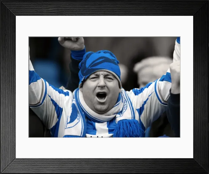 Framed Print : Brighton and Hove Albion: Electric Atmosphere - Crowd Shots from The Amex Stadium (2012-2013) Framed Print : Brighton and Hove Albion: Electric Atmosphere - Crowd Shots from The Amex Stadium (2012-2013)