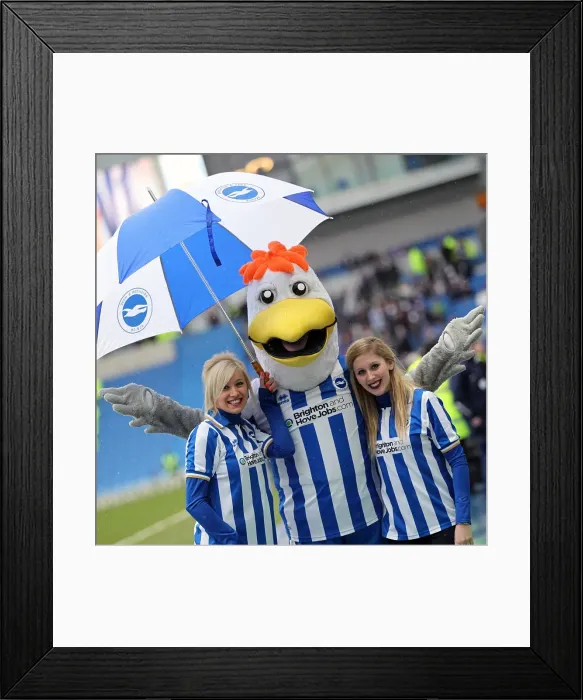 Framed Print : Brighton & Hove Albion vs. Crystal Palace (2012-13): Reliving the Thrilling March Clash Framed Print : Brighton & Hove Albion vs. Crystal Palace (2012-13): Reliving the Thrilling March Clash