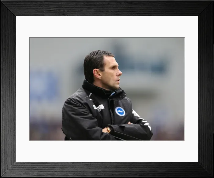 Framed Print : Brighton & Hove Albion vs. Crystal Palace (2012-13): A Past Season Clash - March 17, 2013 Framed Print : Brighton & Hove Albion vs. Crystal Palace (2012-13): A Past Season Clash - March 17, 2013