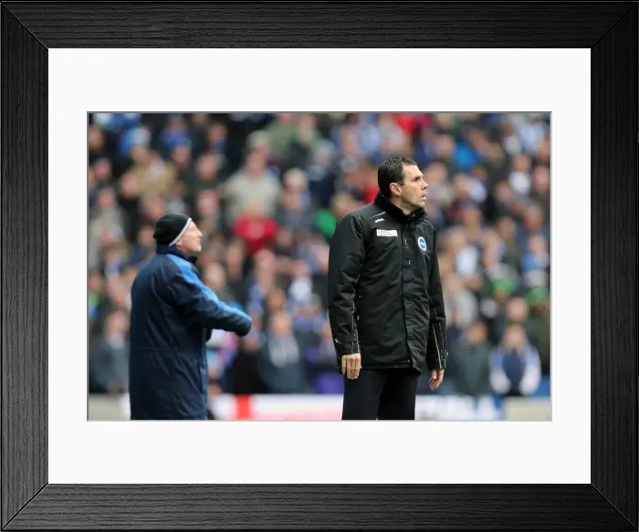Framed Print : A Past Glory: Brighton & Hove Albion vs. Crystal Palace (2012-13 Season) - March 17, 2013 Framed Print : A Past Glory: Brighton & Hove Albion vs. Crystal Palace (2012-13 Season) - March 17, 2013