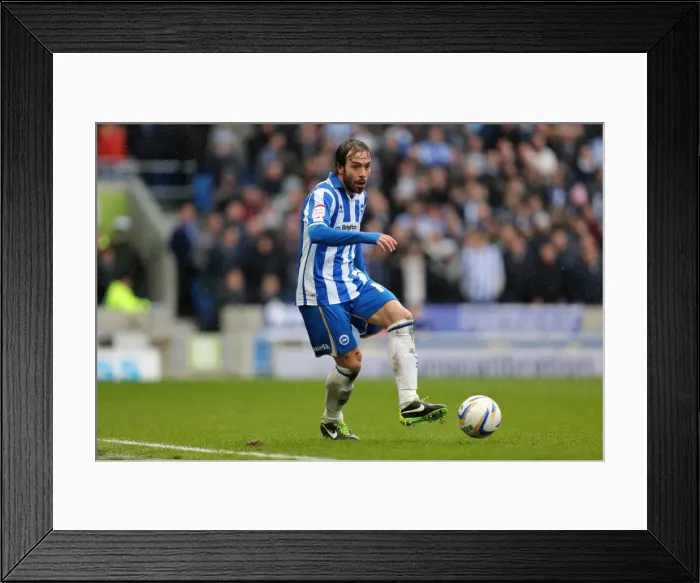 Framed Print : Brighton & Hove Albion vs. Crystal Palace: A Past Clash from the 2012-13 Season (17-03-2013) Framed Print : Brighton & Hove Albion vs. Crystal Palace: A Past Clash from the 2012-13 Season (17-03-2013)