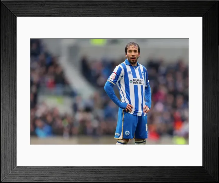 Framed Print : Inigo Calderon: A Seagulls Legend - Brighton and Hove Albion FC