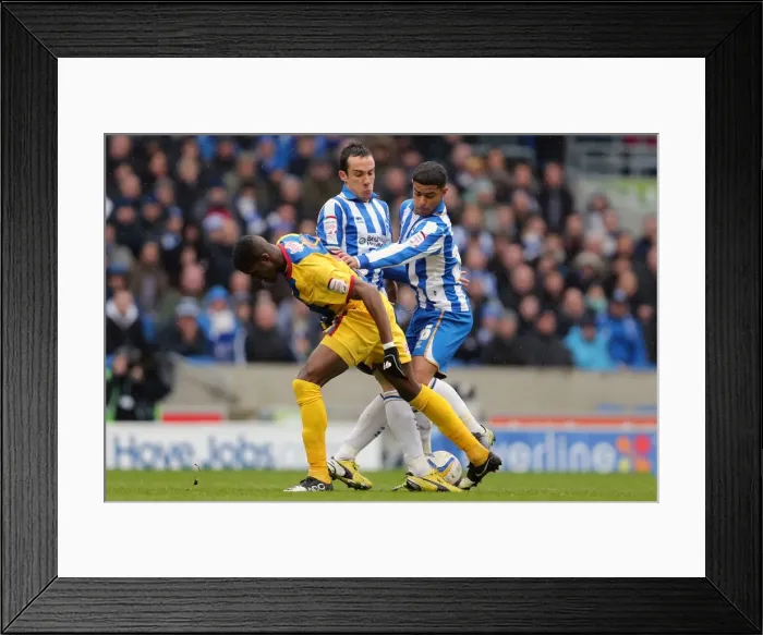 Framed Print : Brighton & Hove Albion vs. Crystal Palace: A Home Battle (March 17, 2013) - 2012-13 Season Framed Print : Brighton & Hove Albion vs. Crystal Palace: A Home Battle (March 17, 2013) - 2012-13 Season