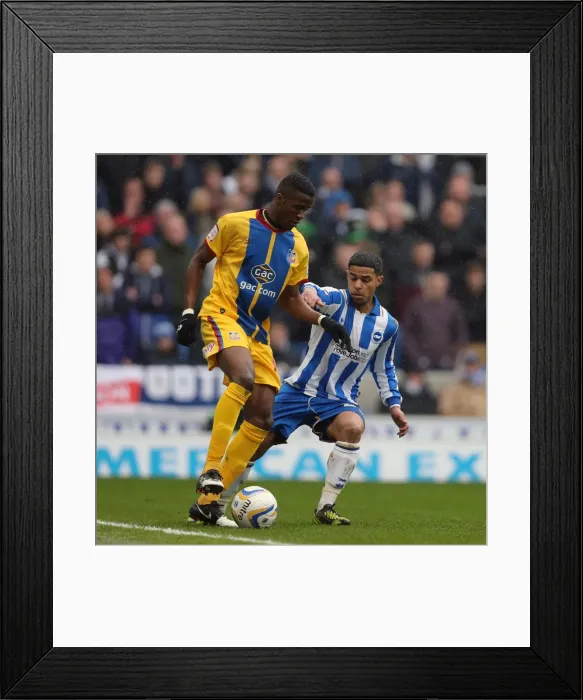 Framed Print : Brighton & Hove Albion vs. Crystal Palace (2012-13 Season): A Home Game Review - March 17, 2013 Framed Print : Brighton & Hove Albion vs. Crystal Palace (2012-13 Season): A Home Game Review - March 17, 2013
