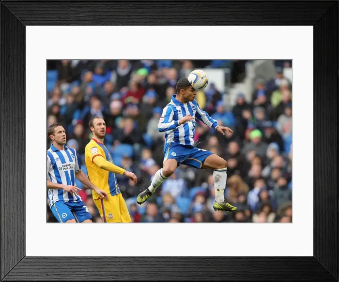 Framed Print : Brighton & Hove Albion vs. Crystal Palace: A 2012-13 Home Game Recap Framed Print : Brighton & Hove Albion vs. Crystal Palace: A 2012-13 Home Game Recap