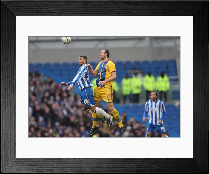 Framed Print : Brighton & Hove Albion vs. Crystal Palace (2012-13 Season): A Home Game Review - March 17, 2013: Crystal Palace Visit Framed Print : Brighton & Hove Albion vs. Crystal Palace (2012-13 Season): A Home Game Review - March 17, 2013: Crystal Palace Visit