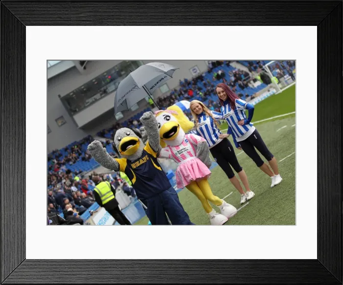 Framed Print : A Past Season's Rivalry: Brighton & Hove Albion vs. Crystal Palace (17-03-2013) Framed Print : A Past Season's Rivalry: Brighton & Hove Albion vs. Crystal Palace (17-03-2013)