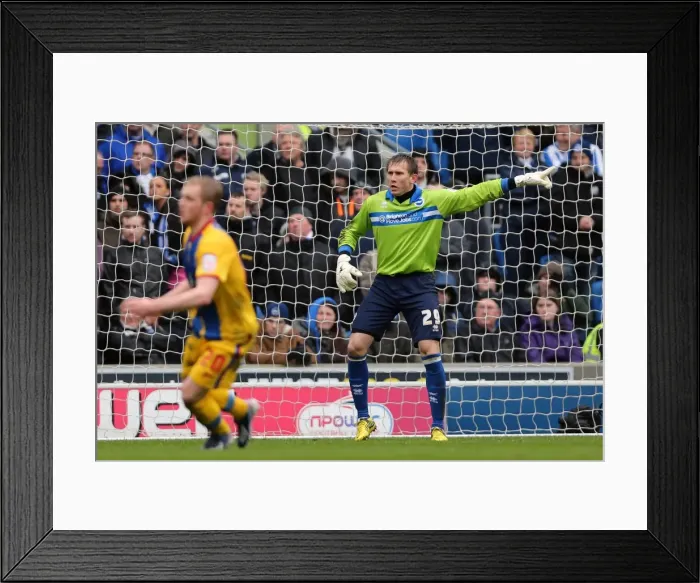 Framed Print : Brighton & Hove Albion: Nostalgic Revisit - 2012-13 Home Game vs. Crystal Palace (March 17th) Framed Print : Brighton & Hove Albion: Nostalgic Revisit - 2012-13 Home Game vs. Crystal Palace (March 17th)