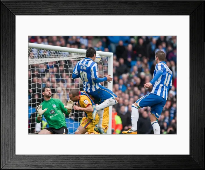 Framed Print : Brighton & Hove Albion vs. Crystal Palace: A Home Battle (March 17, 2013) - 2012-13 Season Framed Print : Brighton & Hove Albion vs. Crystal Palace: A Home Battle (March 17, 2013) - 2012-13 Season
