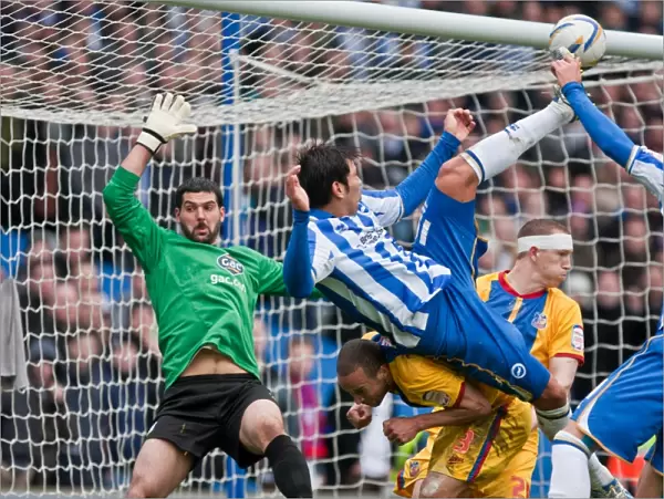 Brighton & Hove Albion vs. Crystal Palace (2012-13 Season): A Home Game Review - March 17, 2013
